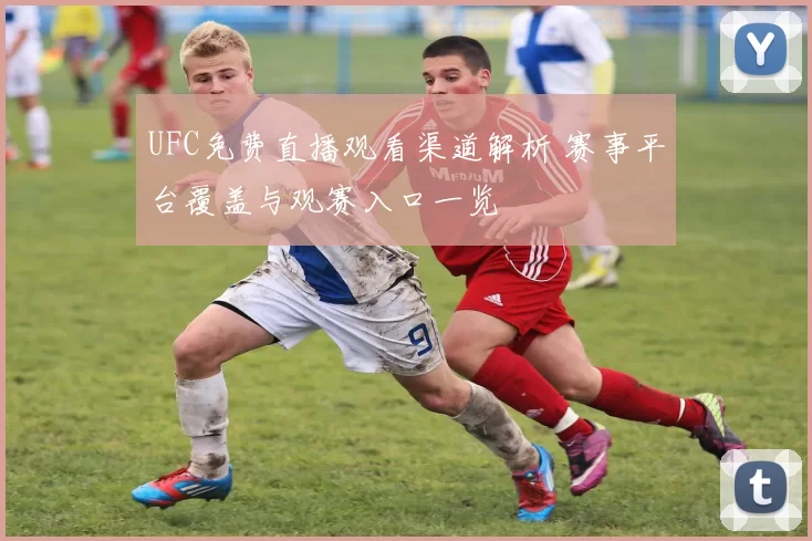 UFC免费直播观看渠道解析 赛事平台覆盖与观赛入口一览