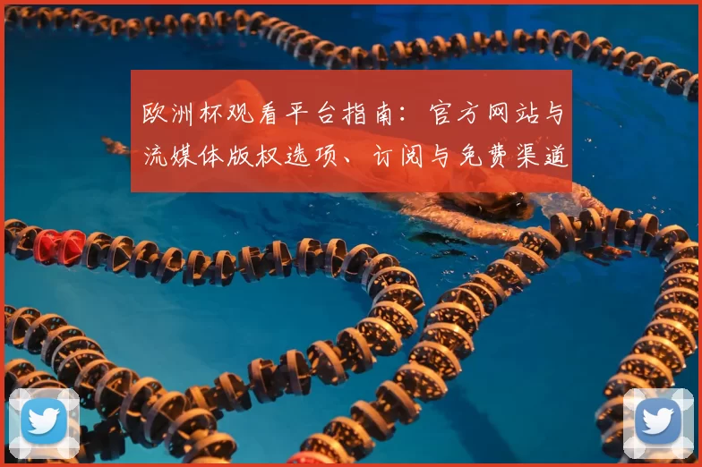欧洲杯观看平台指南：官方网站与流媒体版权选项、订阅与免费渠道解析